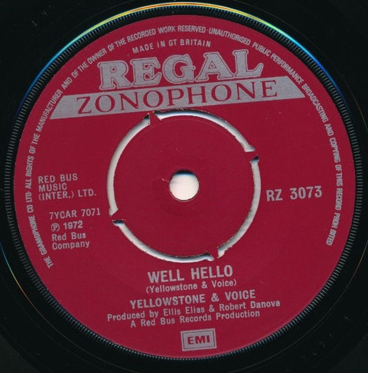 Yellowstone & Voice - Well Hello (7", Single)