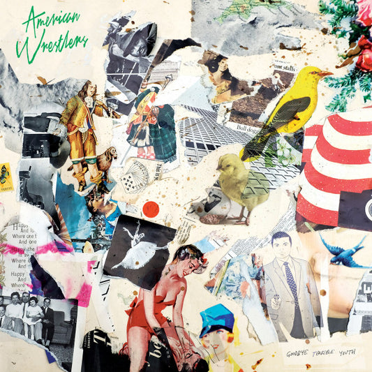 American Wrestlers - Goodbye Terrible Youth (CD, Album)