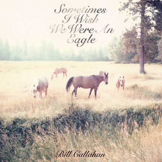 Bill Callahan - Sometimes I Wish We Were An Eagle (CD, Album)