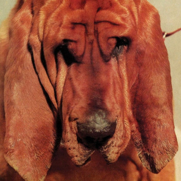 Ty Segall - Goodbye Bread (LP, Album)