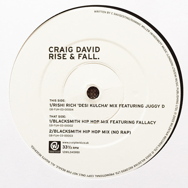 Craig David - Rise & Fall (12", Promo)