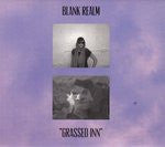 Blank Realm - Grassed Inn (CD, Album)