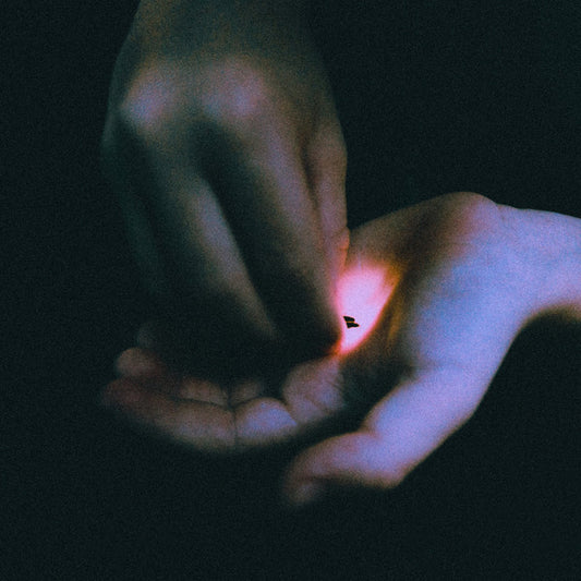 Bambara (2) - Stray (LP, Album, Ltd)