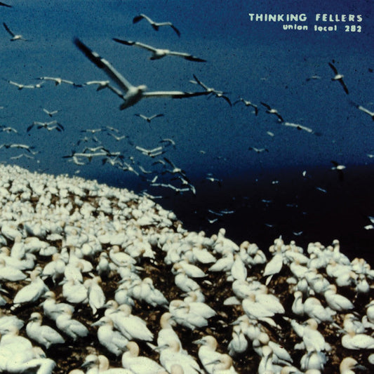 Thinking Fellers Union Local 282 - These Things Remain Unassigned (Singles, Compilation Tracks, Rarities & Unreleased Recordings) (2xLP, Comp, Ltd)
