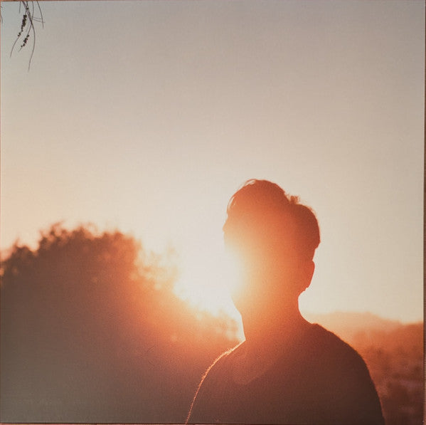 Hrishikesh Hirway - In The Last Hour Of Light (LP, Album, Gol)