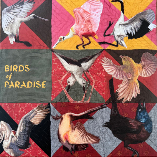 Thomas Dollbaum - Birds of Paradise (LP, Album)