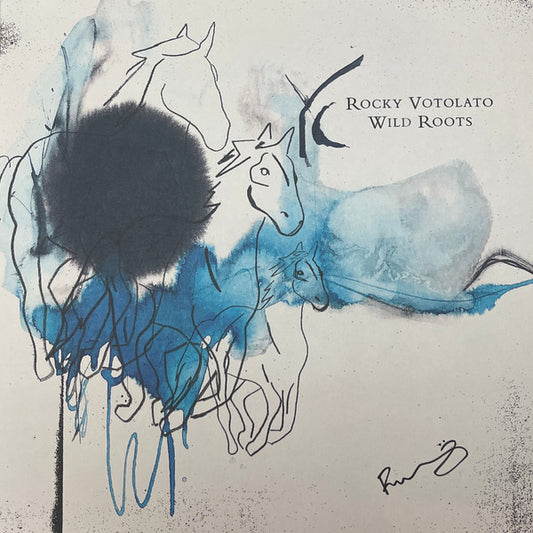 Rocky Votolato - Wild Roots (LP, Album)