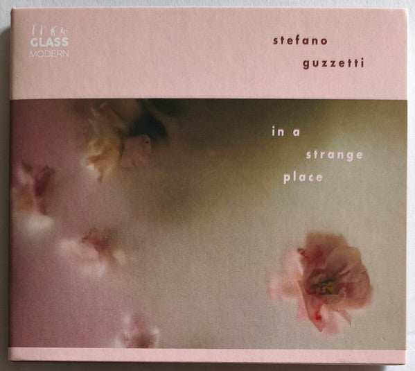 Stefano Guzzetti - In A Strange Place (CD, Album, Ltd)