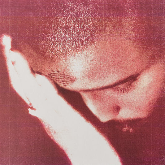 Nourished By Time - The Passionate Ones (LP, Album)