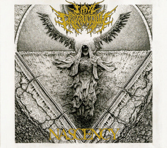 I Am Destruction - Nascency (CD, Album, Dig)