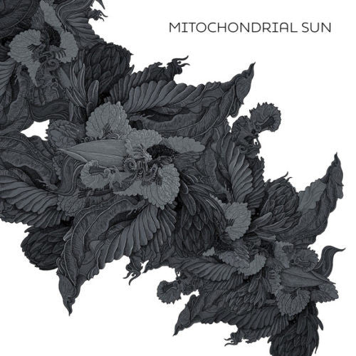 Mitochondrial Sun - Mitochondrial Sun (LP, Album)