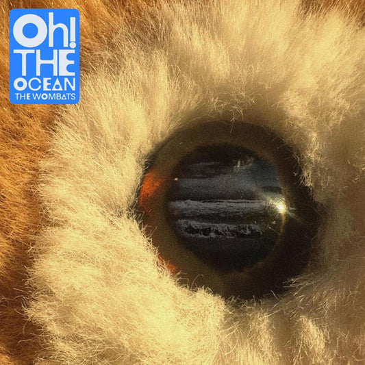 The Wombats - Oh! The Ocean (LP, Album, Dar)