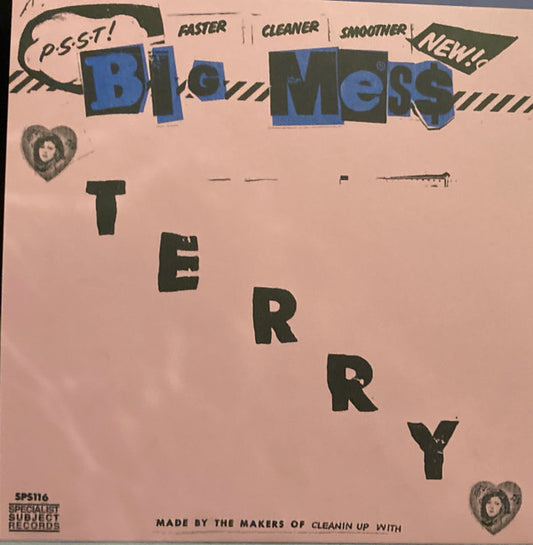 Big Mess (3) - Terry (7")