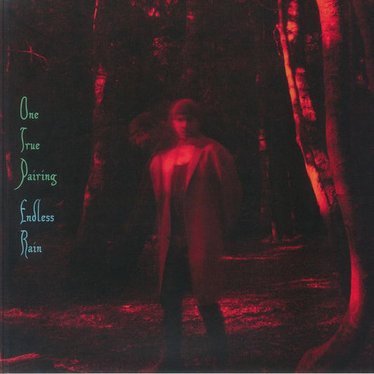 One True Pairing - Endless Rain (2xLP, Album)