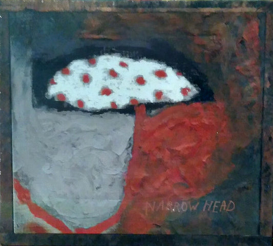 Narrow Head - 12th House Rock (CD, Album, Dig)