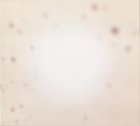 Yo La Tengo - There's A Riot Going On (CD, Album)