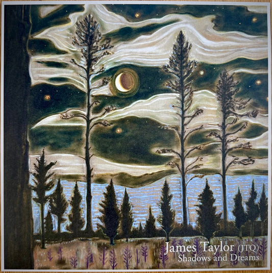 James Taylor - Shadows and Dreams (LP, Album)