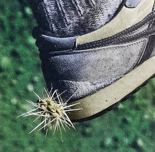 Ross From Friends - Tread (CD, Album)