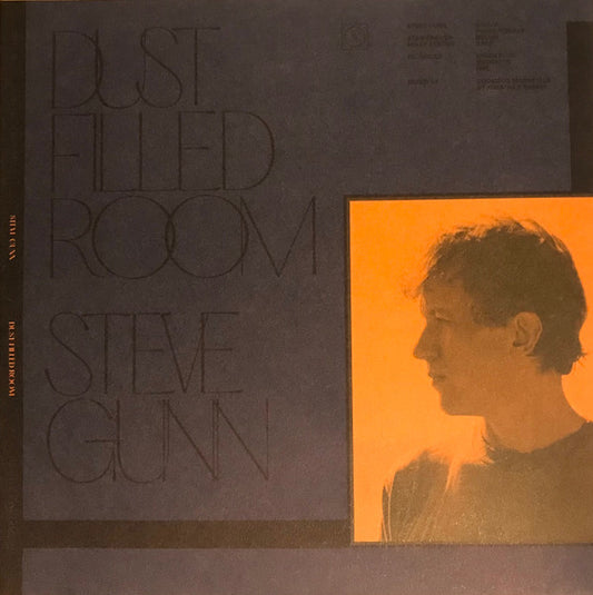 Steve Gunn / Bill Fay - Dust Filled Room/Dust Filled Room (7", Single)