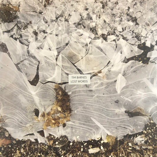 Tim Barnes - Lost Words (LP, Album)