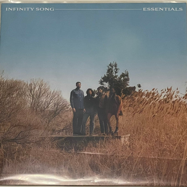 Infinity Song - Essentials (LP, Ltd)