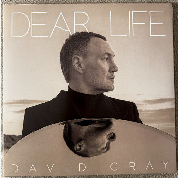 David Gray - Dear Life (2xLP, Album)