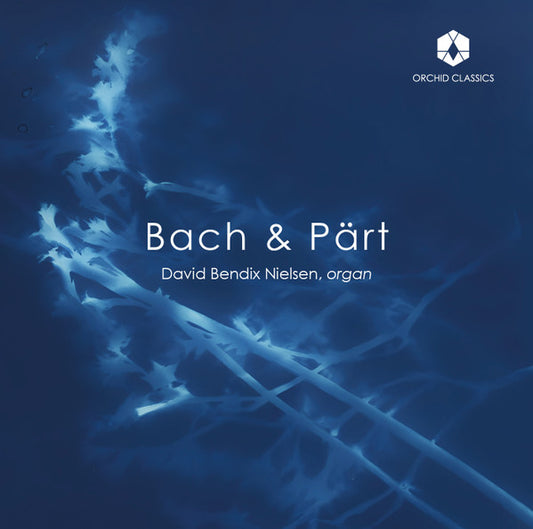 Bach*, Pärt* - David Bendix Nielsen - Bach & Pärt   (CD, Album)