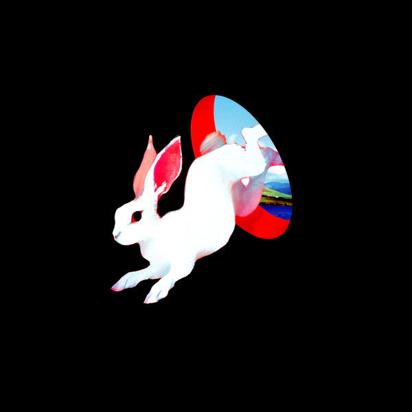 Ganser - Animal Hospital (LP, Album, Tra)