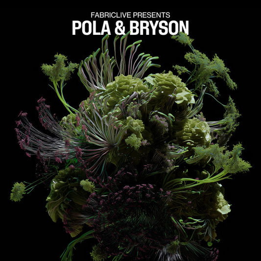 Pola & Bryson - Fabriclive Presents Pola & Bryson (CD, Comp, Mixed)