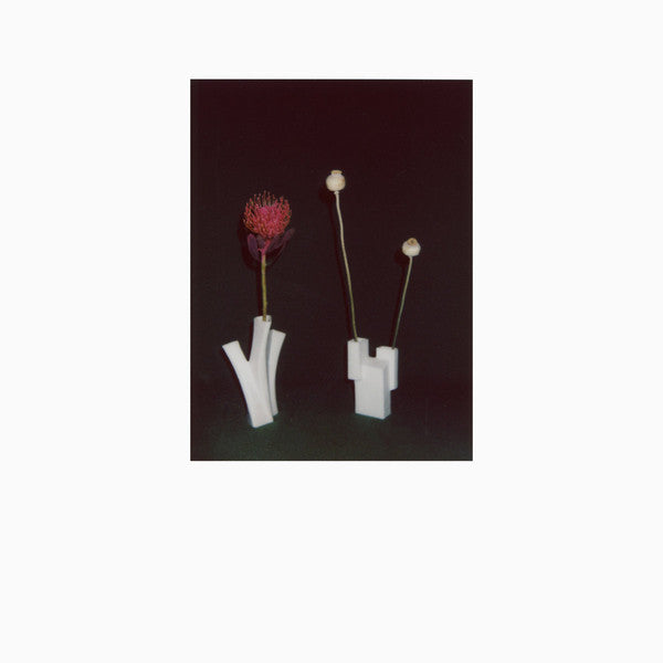 Félicia Atkinson - The Flower And The Vessel (CD, Album, Ltd)