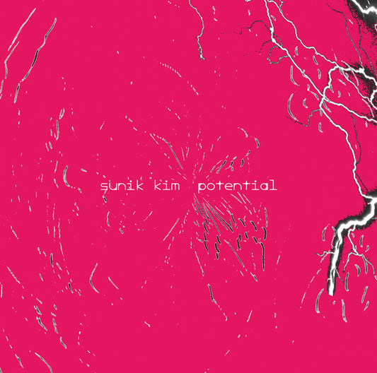 Sunik Kim - Potential (LP)