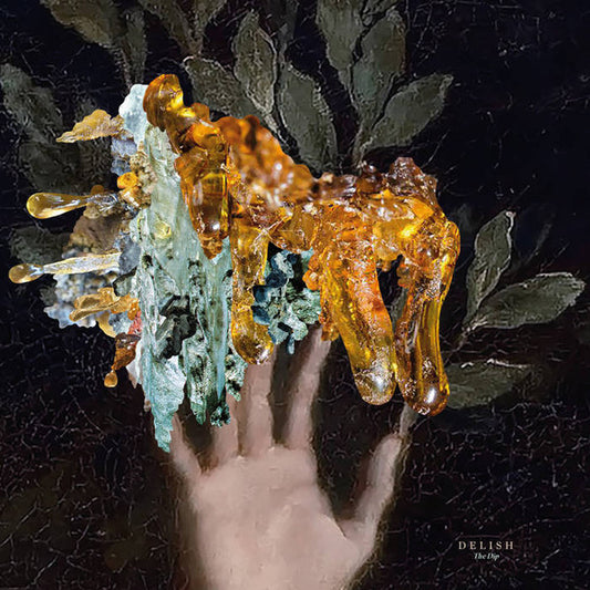 Delish - The Dip (12", EP)