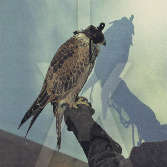 Iceage - You're Nothing (CD, Album)