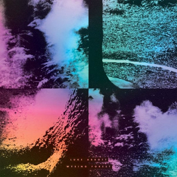 Luke Abbott - Wysing Forest (LP)