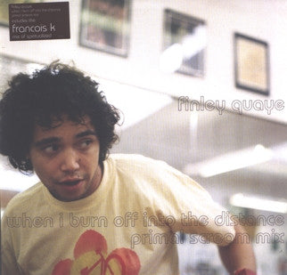 Finley Quaye - When I Burn Off Into The Distance (12")
