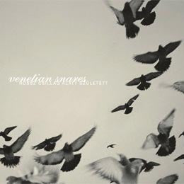 Venetian Snares - Rossz Csillag Alatt Született  (2xLP, Album, RP, 20t)