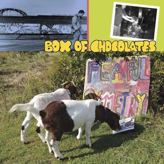 Box Of Chocolates - Fearful Symmetry (LP, Album, RE)