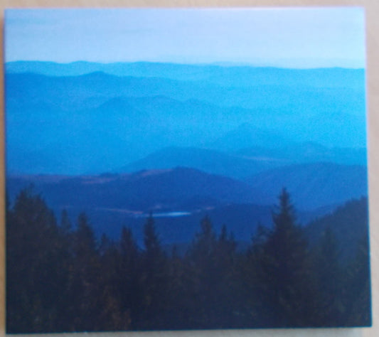 Maybeshewill - No Feeling Is Final (CD, Album)