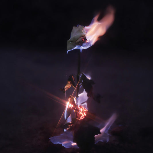 Farwarmth - Momentary Glow (CD, Album)