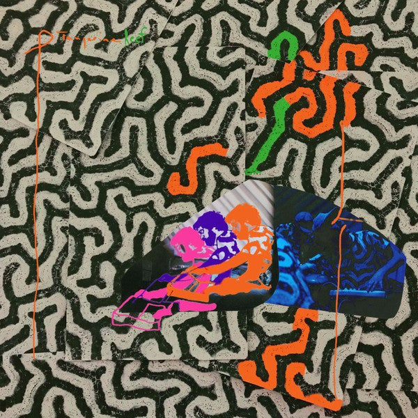 Animal Collective - Tangerine Reef (CD, Album)