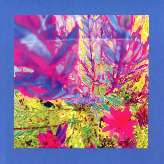 The Reds, Pinks & Purples* - The Past Is A Garden I Never Fed (CD)
