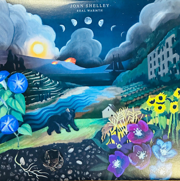 Joan Shelley - Real Warmth (LP, Album)