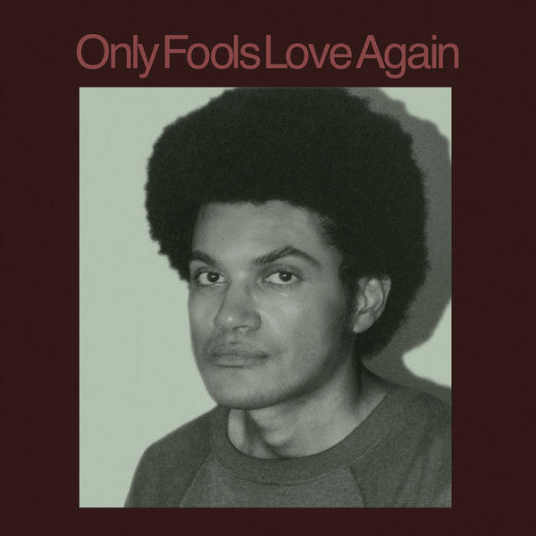 Danny Ayala - Only Fools Love Again (LP, Album)