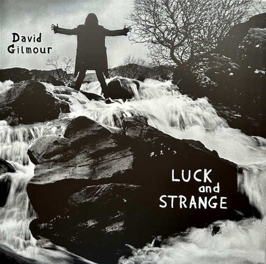 David Gilmour - Luck And Strange (LP, Album, Ltd, Sil)