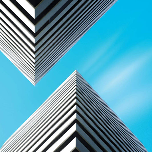 Snow Palms - Land Waves (CD, Album)