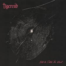 Tigercub - Nets to Catch the Wind (CD, Album)