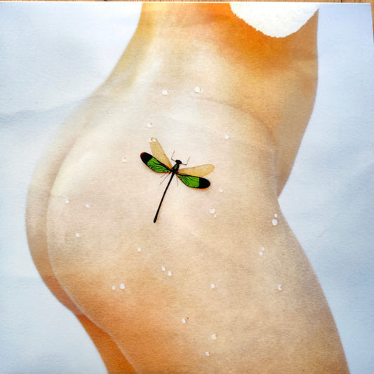 Kacy Hill - Bug (LP, Album, Ora)