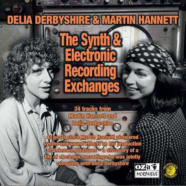 Delia Derbyshire & Martin Hannett - The Synth & Electronic Recording Exchanges (CD, Unofficial)