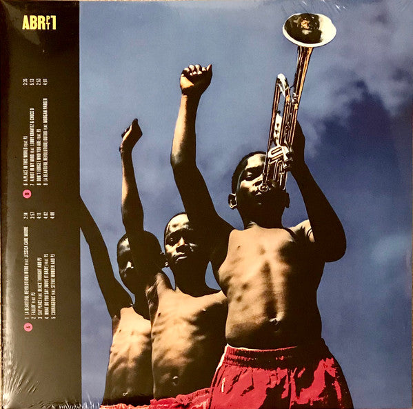 Common - A Beautiful Revolution Pt. 1 & 2 (2xLP, Album, Comp, Dlx, Cle)