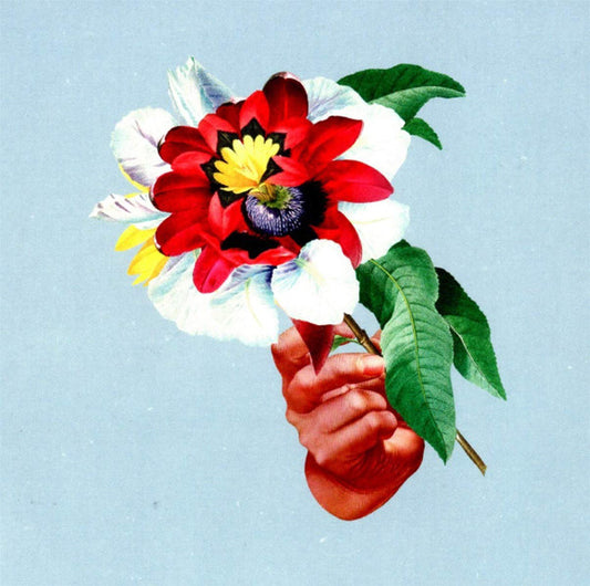 Maribou State - Kingdoms In Colour (CD, Album)